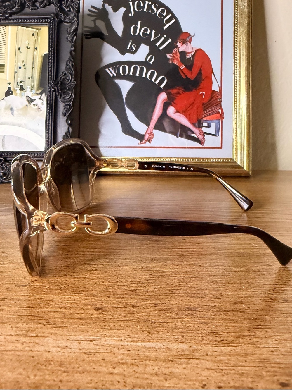 Coach Brown Gradient Oversized Sunglasses with Case - Picture 5 of 5